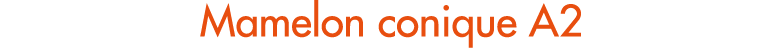 Mamelon conique A2