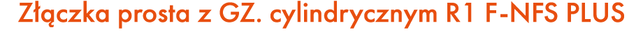 Z czka prosta z GZ. cylindrycznym R1 F NFS PLUS